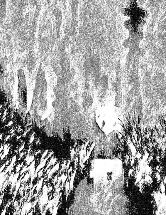 Image 202