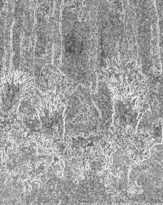 Image 204