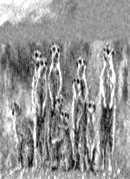 Image 205