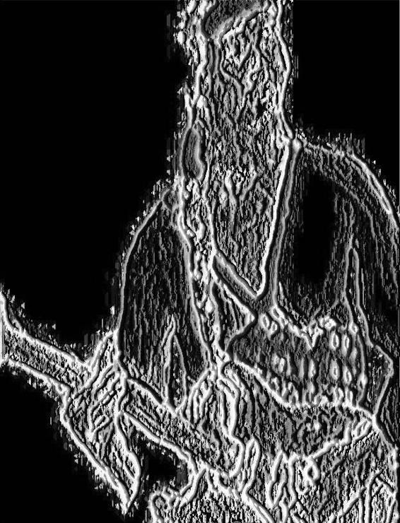 Image 206