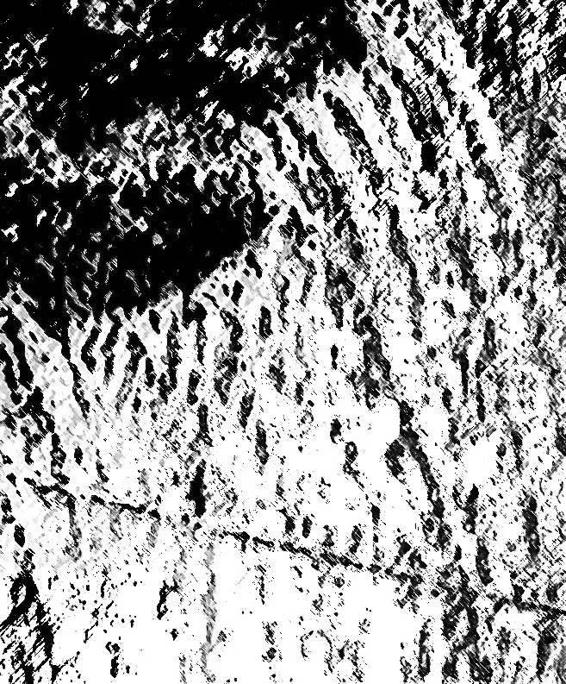 Image 209