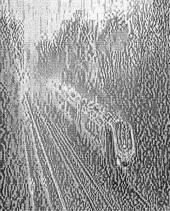 Image 212
