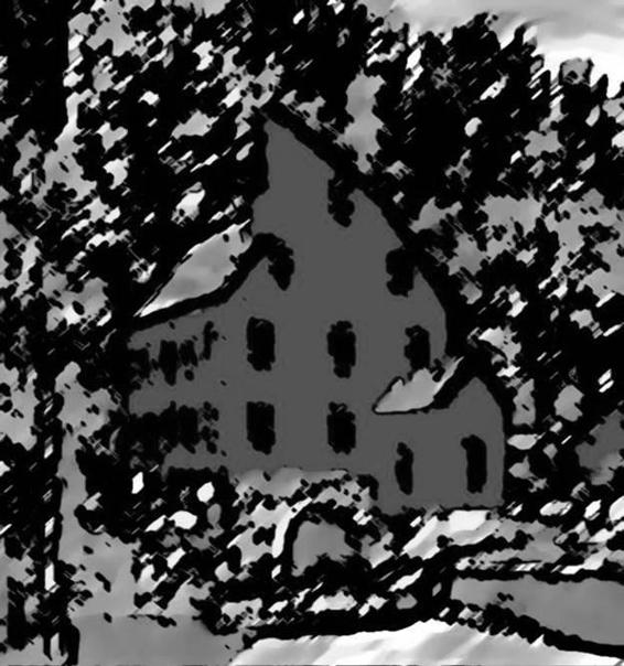 Image 214