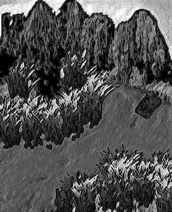 Image 216