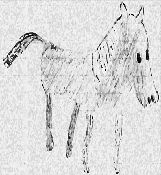 Image 233