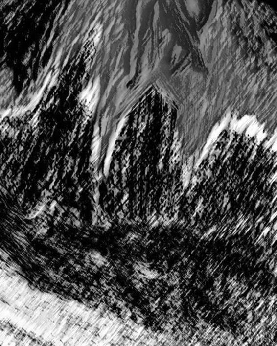 Image 235