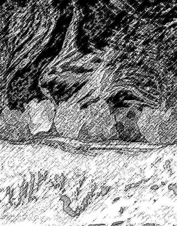 Image 241