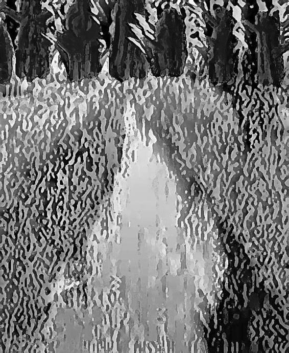 Image 242