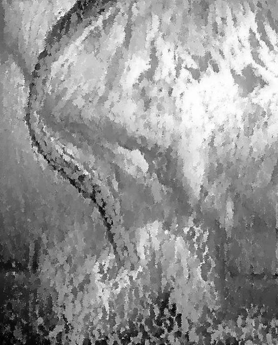 Image 248