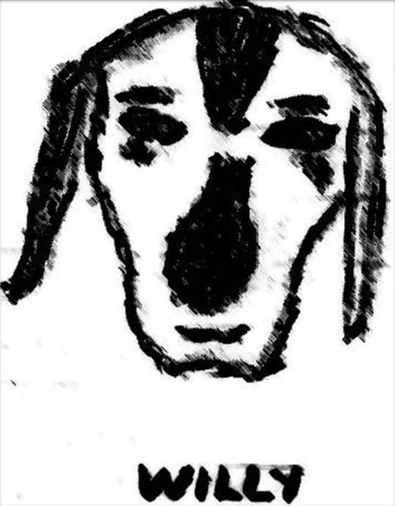 Image 249