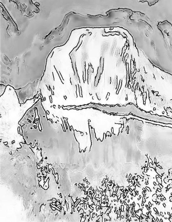Image 257