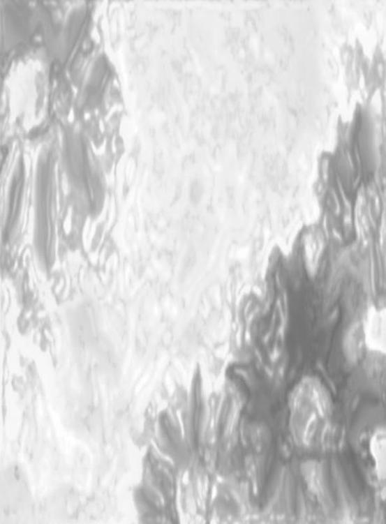 Image 258