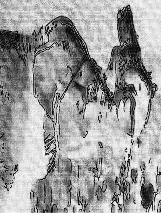 Image 259
