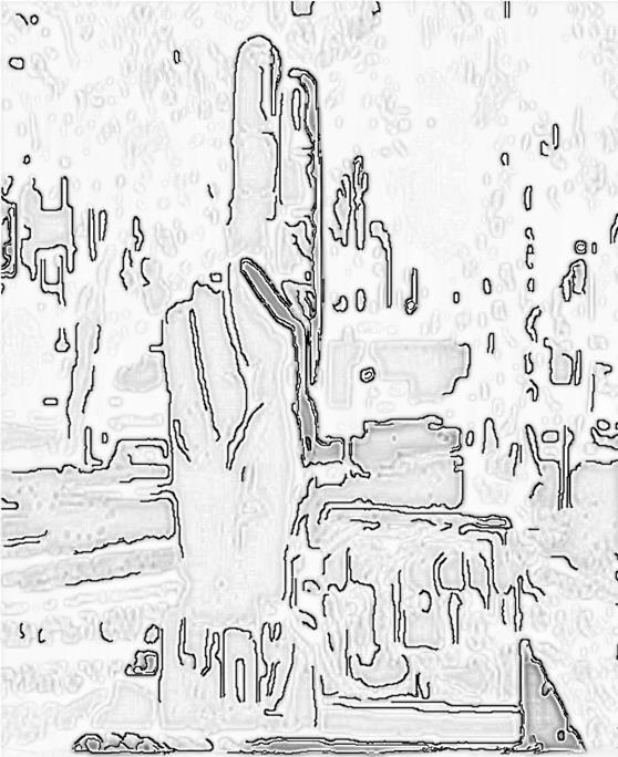 Image 24