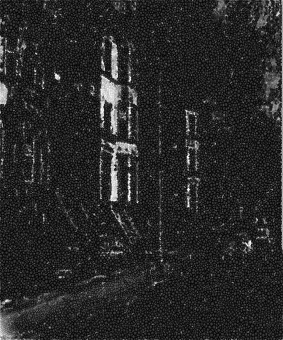 Image 266