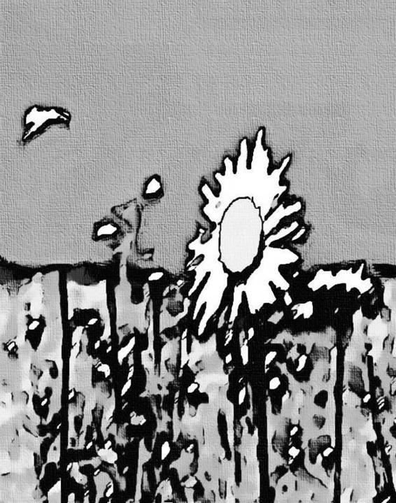 Image 270