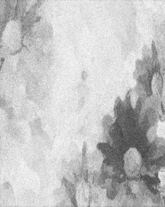 Image 274