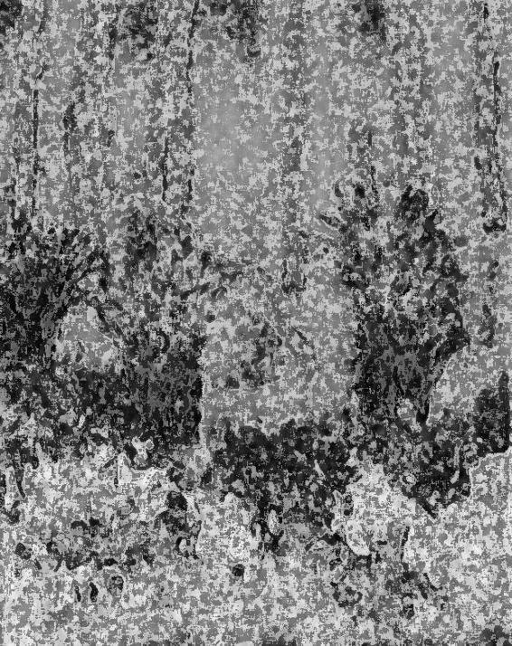 Image 275