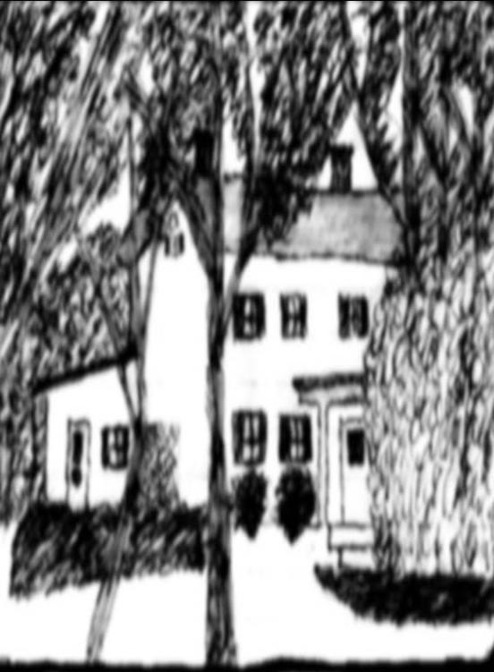 Image 277