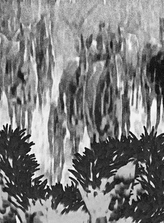 Image 279