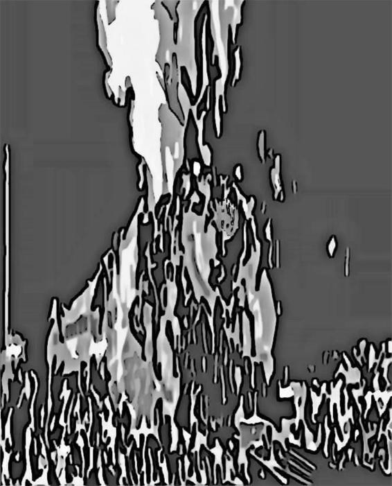Image 282