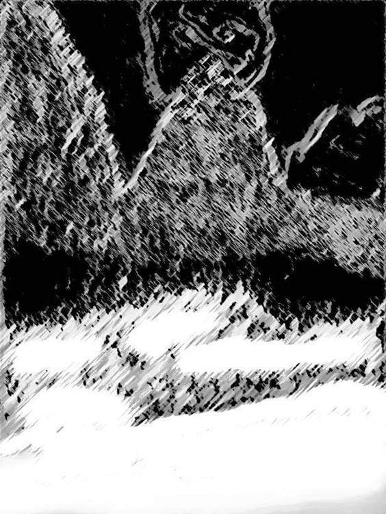 Image 284