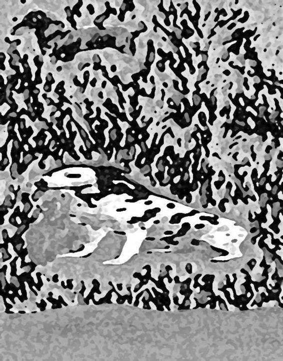 Image 290