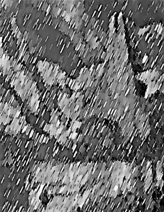 Image 297