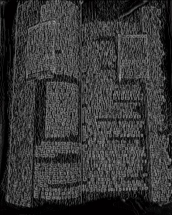 Image 318