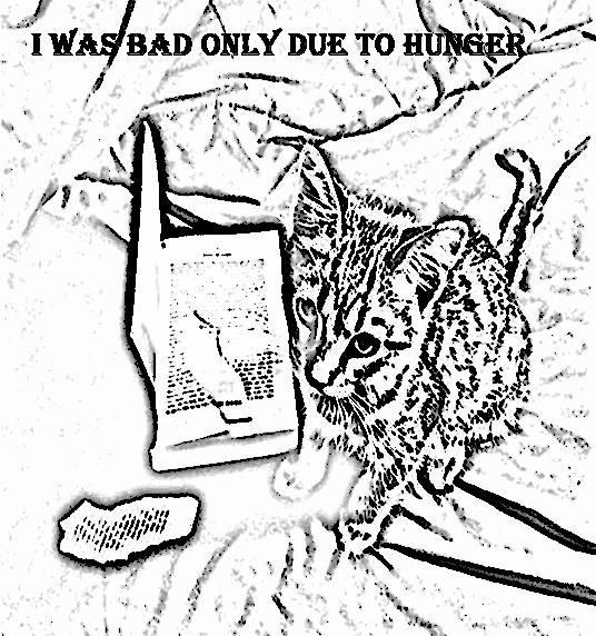 Image 325