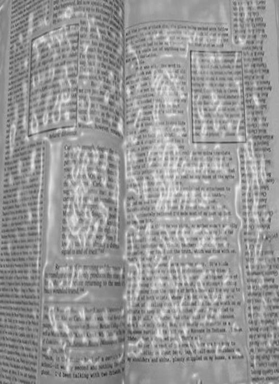 Image 333