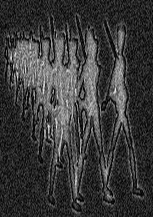 Image 338