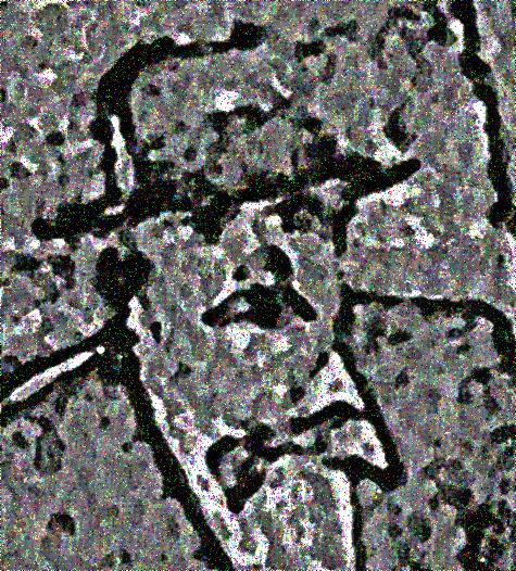 Image 56