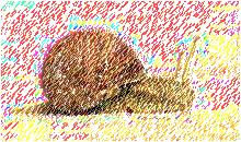 Image 24