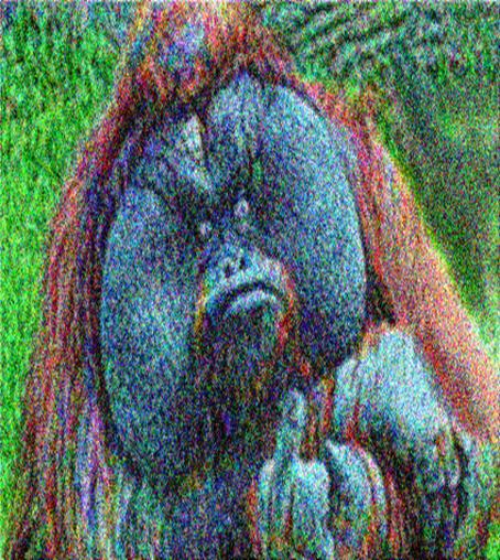 Image 54