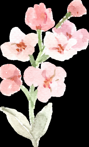 Image 72