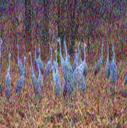 Image 104