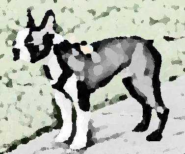 Image 33