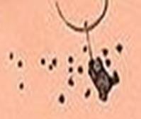 Image 35