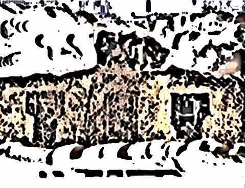 Image 14