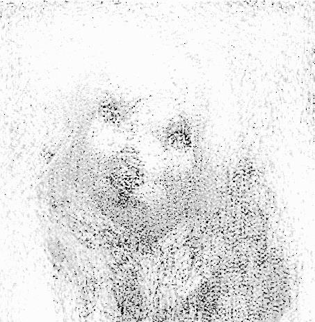 Image 16