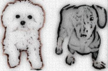 Image 33