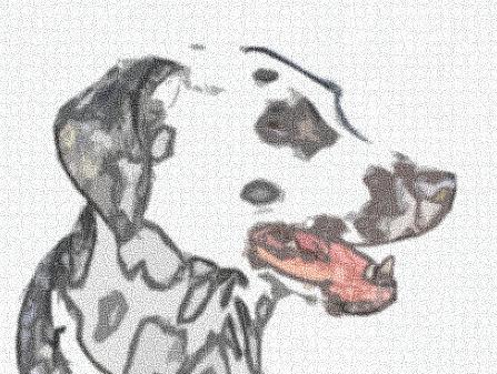 Image 35