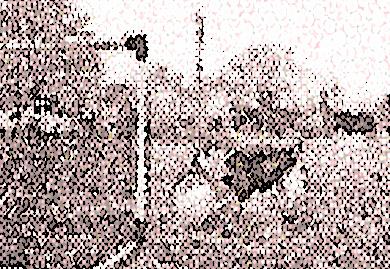 Image 44