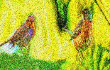 Image 57