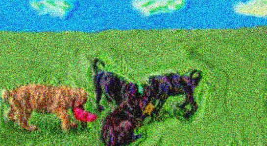 Image 109