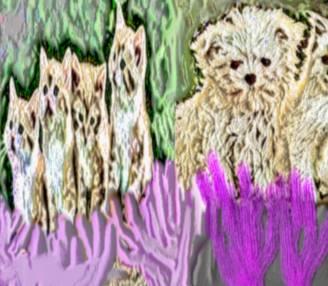 Image 34