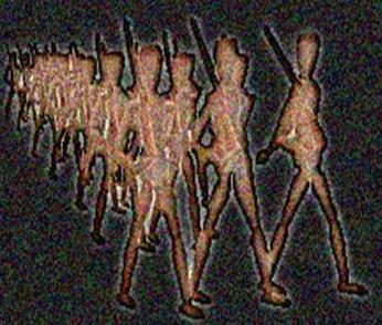 Image 43