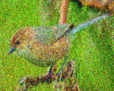 Image 154