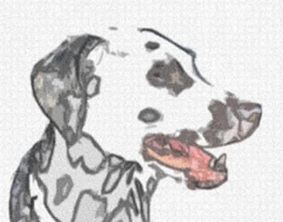 Image 23